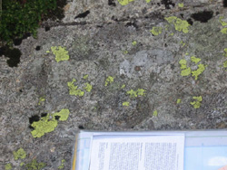 Detail of the carved stone with the initials and the date 1738 